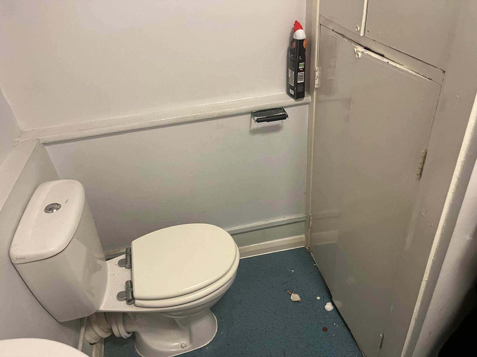 Existing WC and cupboard recorded before strip out